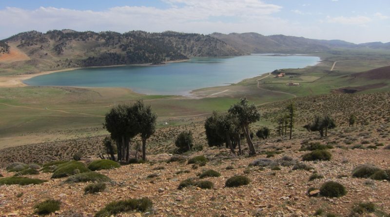 Der Sidi Ali See im Mittleren Atlas Marokkos liegt auf einer Höhe von 2.080 Metern über dem Meeresspiegel. Foto: Institut für Geographie/Universität Münster