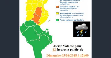 Warnung vor Gewittern und Starkregen in der Nordhälfte Tunesiens ab So., 05. Aug 2018, 12 Uhr
