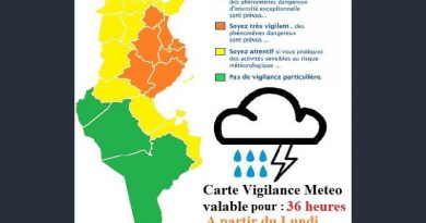 Warnung vor Gewittern und Starkregen in der Nordhälfte Tunesiens und im Südosten ab Mo., 06. Aug 2018, 12 Uhr
