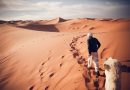 Menschen haben den Beginn der Wüste Sahara um 500 Jahre verzögert