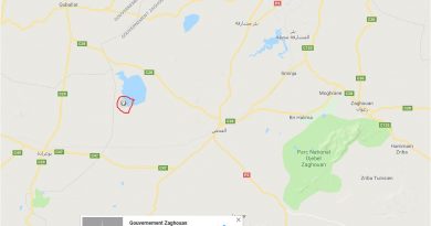 Erdbeben bei El Fahs im Gouvernorat Zaghouan (M4.04) - 31.08.2018