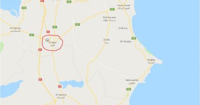 Leichtes Erdbeben bei El Djem im Gouvernorat Mahdia (M2,73)