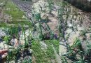 Sintflutartige Regenfälle in Siliana. Sechsjährige stirbt, erheblicher Sachschaden