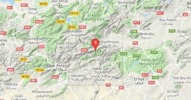 Leichtes Erdbeben bei Ghardimaoui im Gouvernorat Jendouba (M3,04)
