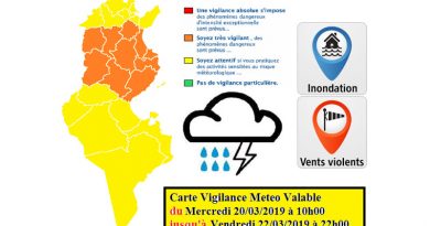 Warnung vor Sturm, Starkregen und Überflutung ab Mittwoch, den 20. März 2019, 10 Uhr