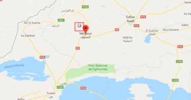 Leichtes Erdbeben bei Métlaoui im Gouvernorat Gafsa (M2,7)