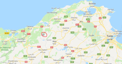 Moderates Erdbeben bei Amdoun im Gouvernorat Béja (M3,11)