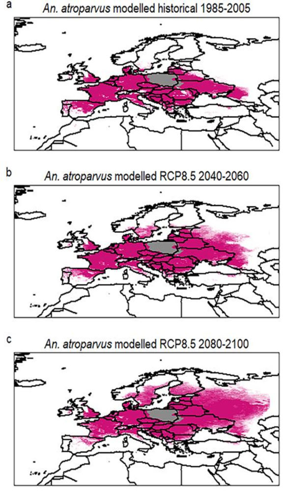 Malariaübertragende Moskitostämme werden sich im Laufe des Jahrhunderts über Europa ausbreiten. - Studie Universität Augsburg