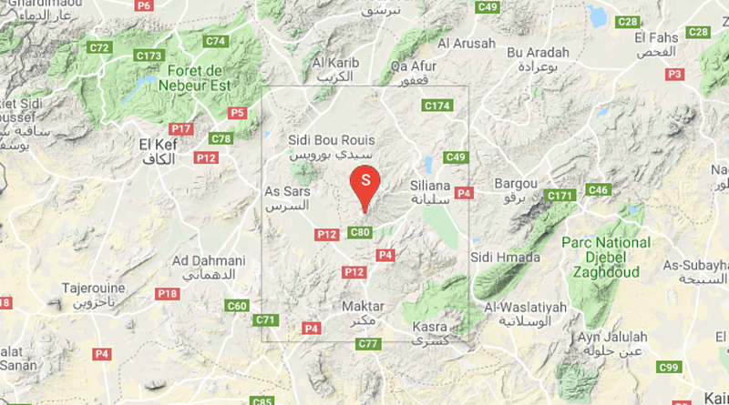 Leichtes Erdbeben westlich der Stadt Siliana (M 3.40)