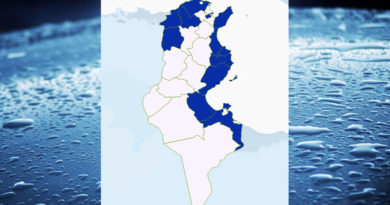 Niederschlagsmengen Tunesien: Sa, 12 Sep – So, 13 Sep 2020, 7 Uhr