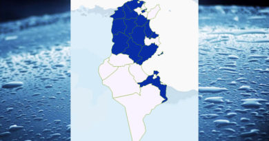 Niederschlagsmengen Tunesien: Mo, 14 Sep – Di, 15 Sep 2020, 7 Uhr