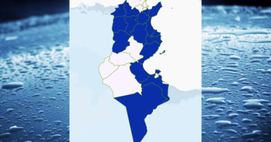 Niederschlagsmengen Tunesien: Do, 19 Nov – Fr, 20 Nov 2020, 7 Uhr