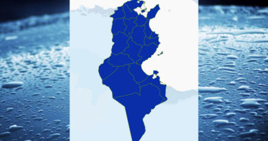 Niederschlagsmengen Tunesien: So, 22 Nov – Mo, 23 Nov 2020, 7 Uhr