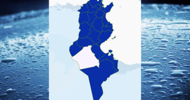 Niederschlagsmengen Tunesien: Mo, 23 Nov – Di, 24 Nov 2020, 7 Uhr
