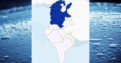 Niederschlagsmengen Tunesien: Sa, 19 Dez – So, 20 Dez 2020