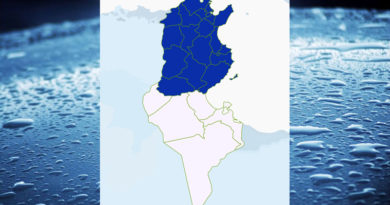 Niederschlagsmengen Tunesien: Di, 9 März – Mi, 10 März 2021