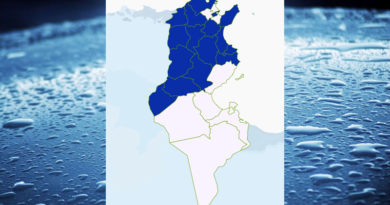 Niederschlagsmengen Tunesien: Fr, 19 März – Sa, 20 März 2020, 7 Uhr