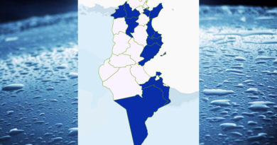 Niederschlagsmengen Tunesien: Di, 9 Nov – Mi, 10 Nov 2021, 7 Uhr