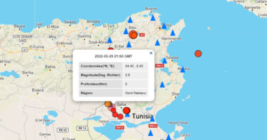 29 Mai 2022: Erdbeben bei Métlaoui, Gouvernorat Gafsa [M3.5]
