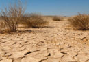 Wasserspeichern 174 Jahren Dürre Wasserstress EIB-Klimaumfrage Auswirkungen Häufigkeit von Trockenheitsepisoden in Tunesien steigt