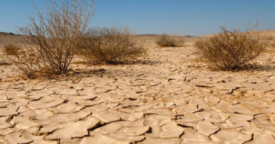 Dürre Wasserstress EIB-Klimaumfrage Auswirkungen Häufigkeit von Trockenheitsepisoden in Tunesien steigt