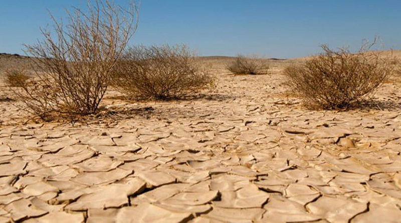 174 Jahren Dürre Wasserstress EIB-Klimaumfrage Auswirkungen Häufigkeit von Trockenheitsepisoden in Tunesien steigt