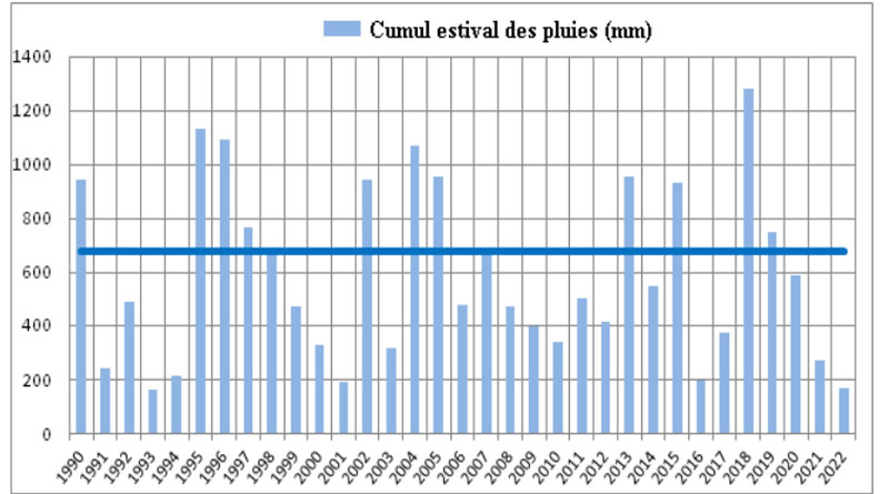 Vergleich der sommerlichen Regensummen mit der Referenznormale (1991-2020)
