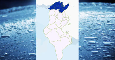 Niederschlagsmengen Tunesien: Fr, 20 Jan – Sa, 21 Jan 2023, 7 Uhr