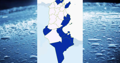Niederschlagsmengen Tunesien: Sa, 11. Feb – So, 12. Feb 2023, 7 Uhr