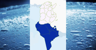 Niederschlagsmengen Tunesien: Fr, 7. Apr – Sa, 8. Apr 2023, 7 Uhr