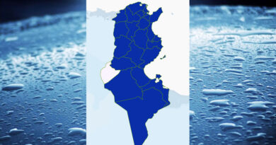 Niederschlagsmengen Tunesien: Fr, 8. Dez – Sa, 9. Dez 2023, 7 Uhr