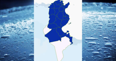 Niederschlagsmengen Tunesien: So, 17. Dez – Mo, 18. Dez 2023, 7 Uhr