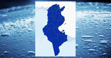 Niederschlagsmengen Tunesien: Mo, 18. Dez – Di, 19. Dez 2023