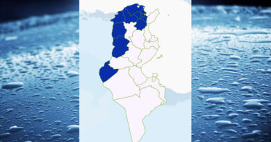 Niederschlagsmengen Tunesien: Fr, 5. Jan – Sa, 6. Jan 2024