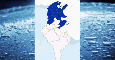 Niederschlagsmengen Tunesien: Sa, 6. Jan – So, 7. Jan 2024