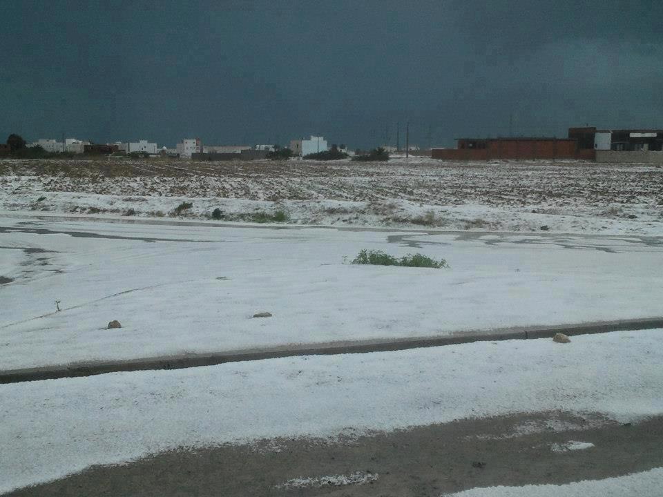 Mahdia Rejiche am 25. Februar 2013