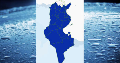 Niederschlagsmengen Tunesien: Mo, 25. März – Di, 26. März 2024
