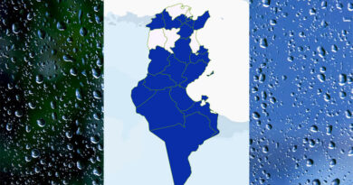 Niederschlagsmengen Tunesien: Do, 11. Apr – Fr, 12. Apr 2024