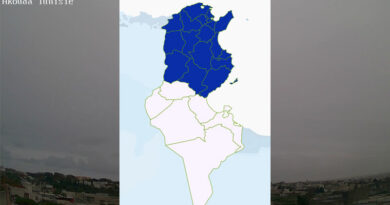Niederschlagsmengen Tunesien: Di, 23. Apr – Mi, 24. Apr 2024