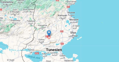 12 Mai 2024: Erdbeben im Gouvernorat Sidi Bouzid, südöstlich von Sidi Ali Ben Aoun [M3.1]