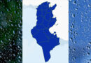 Niederschlagsmengen Tunesien: Mi, 8. Mai – Do, 9. Mai 2024
