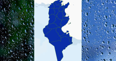 Niederschlagsmengen Tunesien: Mi, 8. Mai – Do, 9. Mai 2024