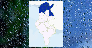 Niederschlagsmengen Tunesien: Do, 9. Mai – Fr, 10. Mai 2024