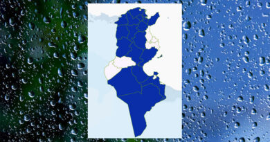 Niederschlagsmengen Tunesien: Di, 30. Apr – Mi, 1. Mai 2024