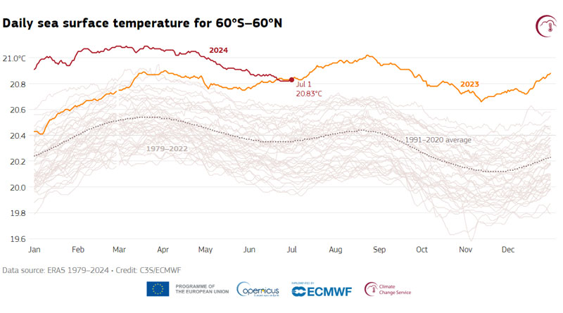 Tägliche Meeresoberflächentemperatur (°C) gemittelt über den extrapolaren globalen Ozean (60°S-60°N) für 2023 (orange) und 2024 (dunkelrot). Alle anderen Jahre zwischen 1979 und 2022 sind mit grauen Linien dargestellt. Der Tagesdurchschnitt für den Referenzzeitraum 1991-2020 ist mit einer gestrichelten grauen Linie dargestellt. Datenquelle: ERA5. Kredit: Copernicus Climate Change Service/ECMWF.