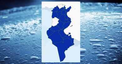 Niederschlagsmengen Tunesien: Do, 19. Sep – Fr, 20. Sep 2024