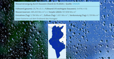 Niederschlagsmengen Tunesien: Mo, 21. Okt – Di, 22. Okt 2024