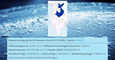 Niederschlagsmengen Tunesien: Mi, 23. Okt – Do, 24. Okt 2024