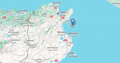 11. Juni 2025: Erdbeben südöstlich von Hammamet unter dem Meer [M3.2]