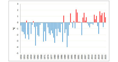 Abweichung von der Norm (1991–2020) der Durchschnittstemperaturen seit 1950: Monat Mai 2025